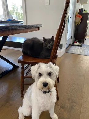 Holly and Dweebie