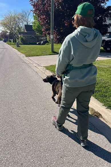 Dog Walking